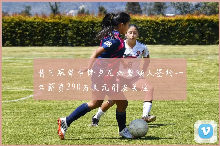 昔日冠军中锋卢尼加盟湖人签约一年薪资390万美元引发关注