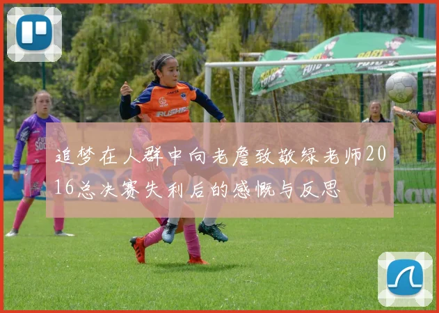 追梦在人群中向老詹致敬绿老师2016总决赛失利后的感慨与反思